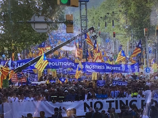 La falsa unidad contra el terrorismo (Mikel Itulain)