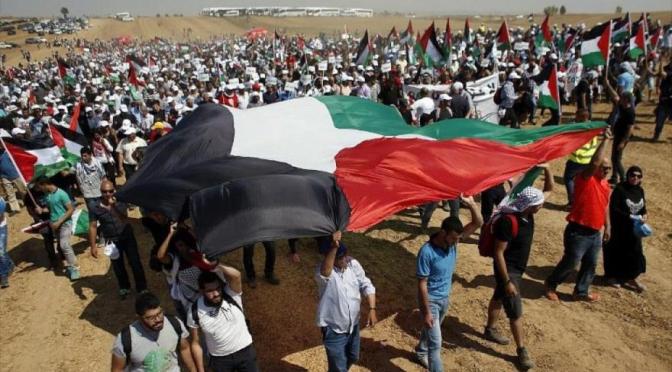 Entrevista al miembro del Comité Central del Frente Democrático de Palestina (FDLP) Doctor Jehad Yousef.